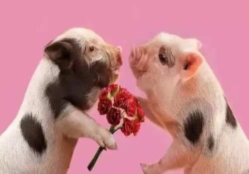 未经过公证的婚前协议是否有效